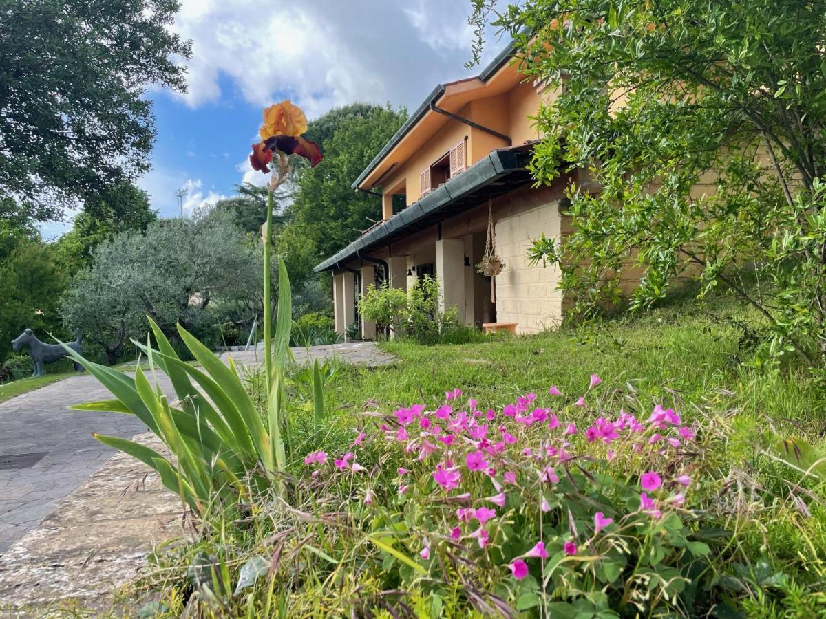 Botanea Guest House Fonte Nuova Exteriör bild